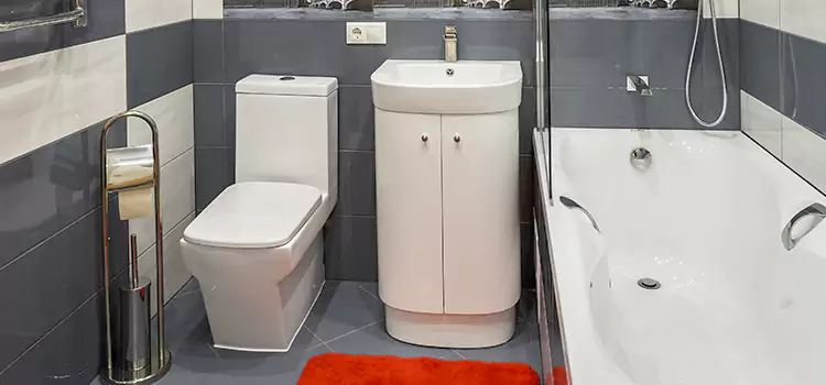 Hansgrohe Shaving Mirror Vacaville